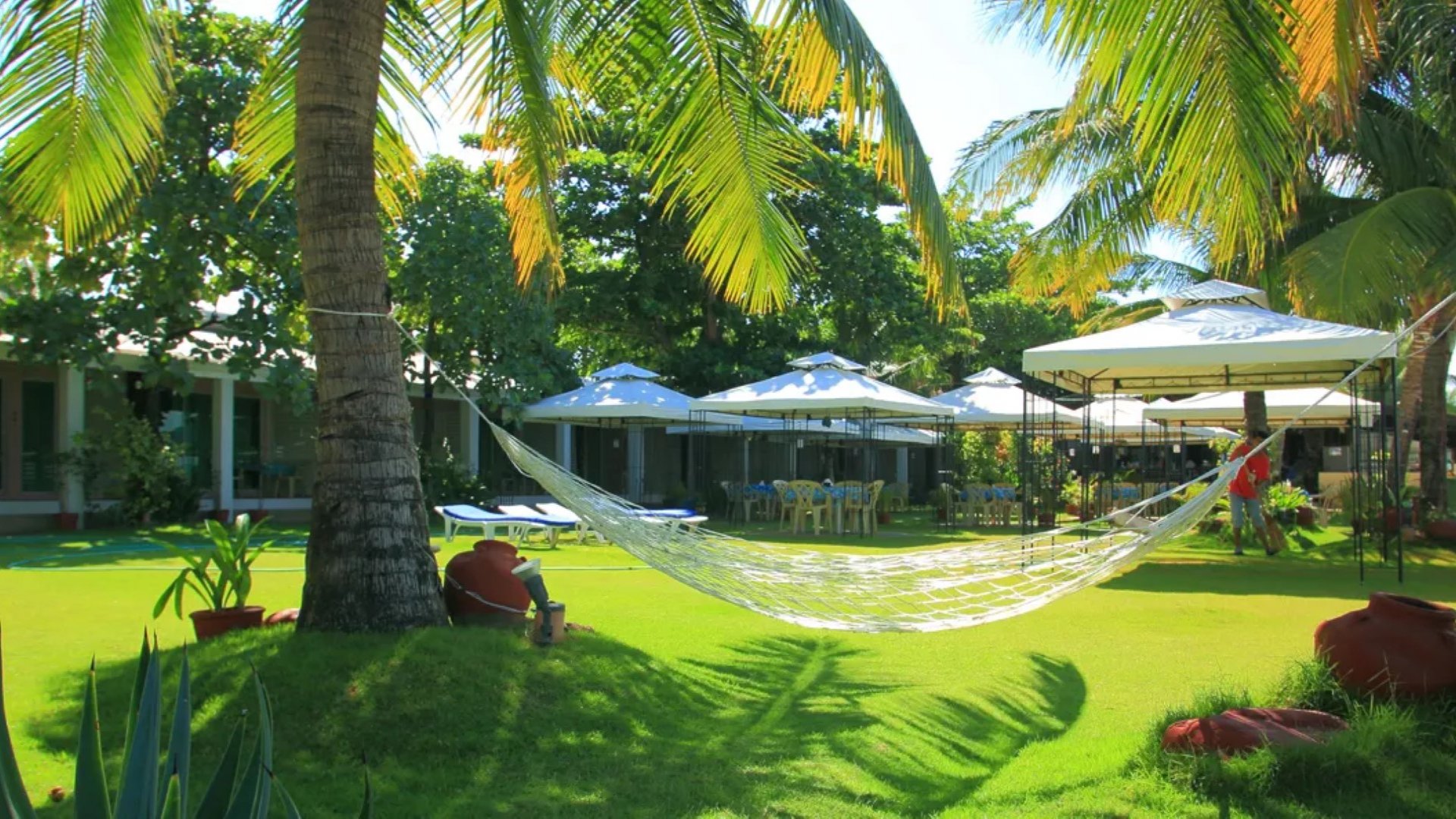 Wild Orchid Beach Resort Main Image